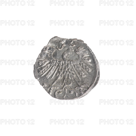Lithuanian denarius, Sigismund II Augustus (King of Poland; 1544–1572); emblems of the Jagiellons (dynasty); Polish coins; eagles (Eagle emblem) and Pursuer (Pursuer emblem; Lithuania). Obverse: Polish Eagle in the rim. Reverse: Lithuanian Pursuer in the rim, below the year 1556. Dated 1556. Grand Duchy of Lithuania, Vilnius, Poland. Coin; diameter 12.0–12.5 mm; weight 0.3 g.