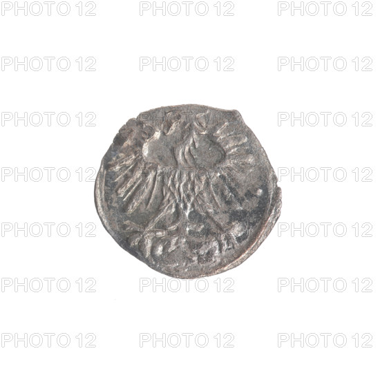 Lithuanian denarius, Sigismund II Augustus (King of Poland; 1544–1572); emblems of the Jagiellon dynasty; Polish eagle and Lithuanian Pursuer emblems. Obverse: Polish Eagle in the rim. Reverse: Lithuanian Pursuer in the rim, below the year 1558. Dated 1558. Grand Duchy of Lithuania, Vilnius. Coin. Diameter 12.0–12.7 mm. Weight 0.27 g.