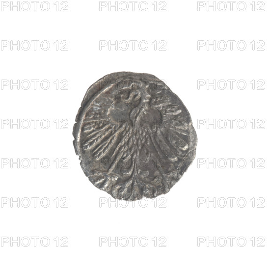 Lithuanian denarius, Sigismund II Augustus (King of Poland; 1544–1572); emblems of the Jagiellon dynasty; Polish eagle and Lithuanian Pursuer (emblem). Obverse: Polish Eagle in the rim. Reverse: Lithuanian Pursuer in the rim, below the year 1558. Dated 1558. Grand Duchy of Lithuania, Vilnius, Poland. Coin. Diameter 11.5–12.8 mm. Weight 0.27 g.