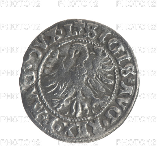 Lithuanian half-grosz, Sigismund II Augustus (King of Poland; 1544–1572). Obverse: Polish Eagle; in the rim between pearly borders the inscription .SIGIS.AVG.REX.P.MAG.DVX.L. Reverse: Lithuanian Pogon; below the year 1546; in the rim between pearly borders the inscription .MONETA.MAGNI.DVCAT9.LITV. Date: 1546. Grand Duchy of Lithuania (Vilnius). Coin; diameter ~19.5–20.0 mm; weight 1 g. Coats of arms: Jagiellons (dynasty), eagles, Pogon.