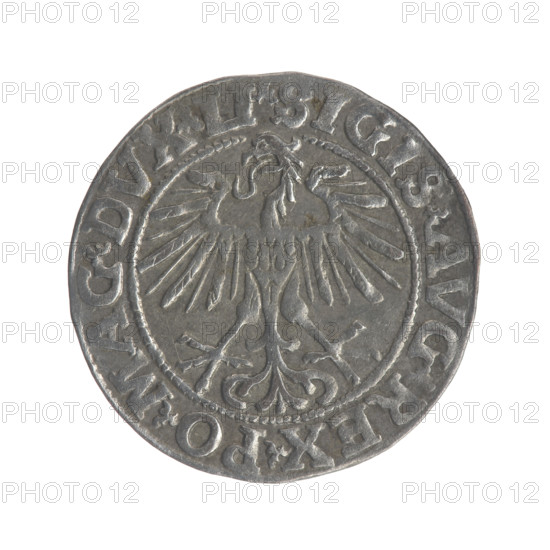 Lithuanian half-grosz, Sigismund II Augustus (King of Poland; 1544–1572). Obverse: Polish eagle; in the rim between pearly borders the inscription '.SIGIS.AVG.REX.PO.MAG.DVX.LI'. Reverse: Lithuanian Pogon; below the year '1551', in the rim between pearly borders the inscription '.MONETA.MAGNI.DVCAT9.LITVA'. 1551. Grand Duchy of Lithuania (Poland). Coin; diameter 19.3–19.5 mm, weight 1.21 g. Coats of arms: Jagiellons dynasty; eagles; Pogon (coat of arms).