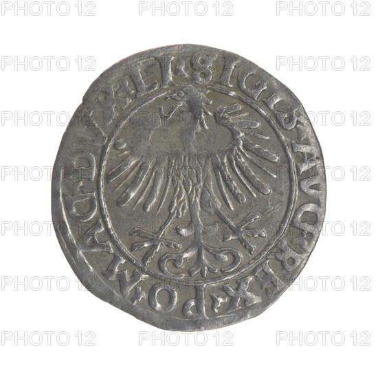 Lithuanian half-grosz, Sigismund II Augustus (King of Poland; 1544–1572). Obverse: Polish Eagle; in the rim between pearly borders the inscription '.SIGIS.AVG.REX.PO.MAG.DVX.LI'. Reverse: Lithuanian Pogon; below the year '1556', in the rim between pearly borders the inscription '.MONETA.MAGNI.DVCAT9.LITV'. 1556. Grand Duchy of Lithuania, Vilnius. Coin; diameter 18.8–19.1 mm; weight 1.27 g.