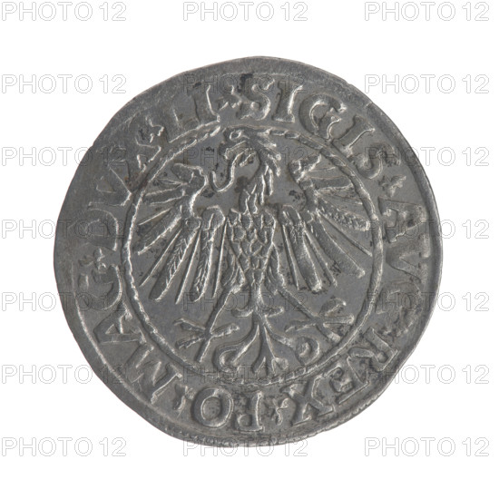 Lithuanian half-grosz, Sigismund II Augustus (King of Poland; 1544–1572). Obverse: Polish Eagle; in the rim between pearly borders the inscription .SIGIS.AVG.REX.PO.MAG.DVX.LI. Reverse: Lithuanian Pogon; below the year 1547; in the rim between pearly borders the inscription .MON. MAGNI.DVCAT. LITVA. Dated 1547. Grand Duchy of Lithuania, Vilnius. Coin; diameter ~19.8–20.5 mm; weight 1.18 g. Includes coats of arms (Jagiellon dynasty), eagles.