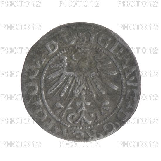 Lithuanian half-grosz, Sigismund II Augustus (King of Poland; 1544–1572). Obverse: Polish Eagle; in the rim between pearly borders an inscription: .SIGIS.AVG.DGREX.POLO.MDL. Reverse: Lithuanian Pursuer, below the year 1564; in the rim between pearly borders an inscription divided by the Axe coat of arms: .MONETA.MAGNI - DVCAT.LITVA. Date: 1564. Maker/issuer: Grand Duchy of Lithuania. Inscriptions: as given. Subjects/ motifs: coats of arms, Jagiellons dynasty, eagles, Axe coat of arms, Pursuer (coat of arms). Type: coin (half-grosz). Place: Vilnius, Poland/Lithuania. Dimensions: diameter ca. 19.0–19.3 mm; weight 1.09 g. Makers/person associated: Tarlo, Gabriel (ca. 1486–1565).