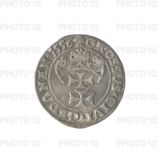Gdansk grosz, Sigismund II Augustus (King of Poland; 1544–1572), Jagiellon dynasty. Obverse: Crowned male bust in profile facing right; rim inscription between pearl borders: .SIGIS.AVG.REX.PDPRVS. Reverse: Coat of arms of Gdansk; rim inscription between pearl borders: .GROSSVS:CIVI:GEDANEN.1556. Date: 1556. Poland, Gdansk. Coin; diameters 22.3 mm and 23.0 mm; weight 1.77 g.