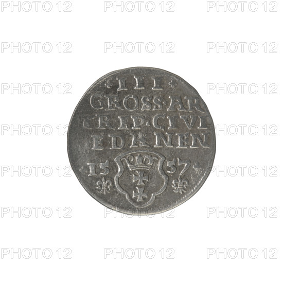 Gdansk trojak, Sigismund II Augustus (King of Poland; 1544–1572), Jagiellonians (dynasty); obverse: crowned male bust in profile turned right, rim inscription SIGIS.AVG.REX.PO.D.PRVS; reverse: value mark .III., inscription GROSS.AR/TRIP.CIVI/, EDANEN below the year and mint mark, lilies, shield with the coat of arms of Gdansk; 1557; Gdansk, Poland; coin; diameter ~20.5–20.8 mm; weight 2.62 g.