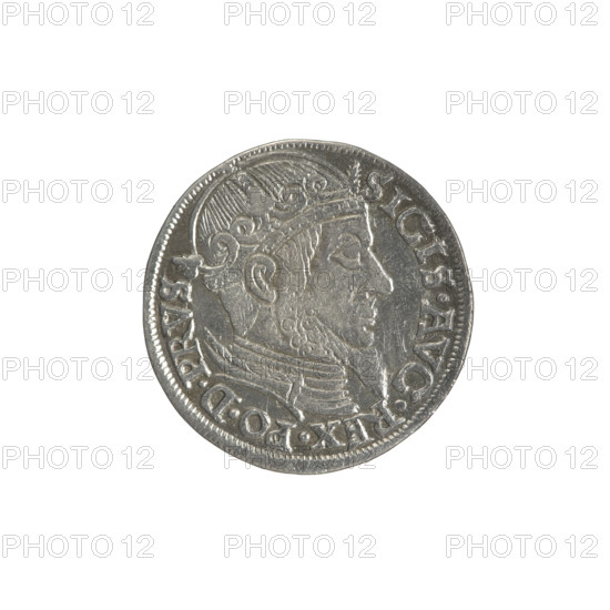 Gdansk trojak, Sigismund II Augustus (King of Poland; 1544–1572), Jagiellonians (dynasty). Obverse: crowned male bust in profile turned right; rim inscription SIGIS.AVG.REX.PO.D.PRVS. Reverse: below the value number .III. inscription GROSS.AR/TRIP.CIVI/GEDAN, N below the year and mint mark; lilies; shield with the coat of arms of Gdansk separating .15 - 58./. diameters 21.3–21.5 mm, weight 2.6 g; 1558; Poland, Gdansk; coin; male busts; inscriptions; royal bust; city coats of arms; iconography of Sigismund II Augustus.