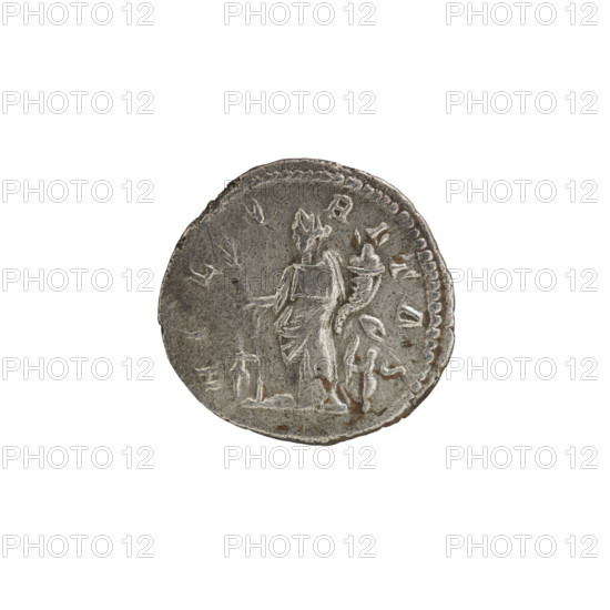 Denarius depicting Julia Domna (ca. 160–217), Roman empress (193–211). Obverse: bust of Julia Domna right, pearl rim, inscription 'IVLIA AVGVSTA'. Reverse: Hilaritas standing left holding a palm branch in her right hand and a cornucopia in her left, pearl rim. Date: 196–211 CE. Roman Empire, Rome. Coin: silver denarius, diameter 19.3 mm, weight 3.00 g, axis 0°.