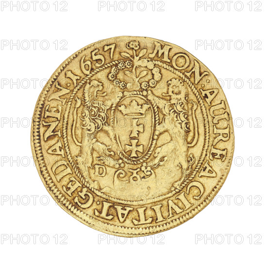 Gdansk ducat, Lesse, Daniel (1656–1685); John II Casimir Vasa (King of Poland; reign 1648–1668). Obverse: crowned right-profile bust of the king, wearing the Order of the Golden Fleece on the chest, within a rope rim inscribed 'IOAN.CAS.DGREX. POL.& SUEC.MD'. Reverse: Gdansk coat of arms held by two lions; at the top a wreath surrounding a flower, at the bottom a cartouche dividing the letters 'DL'; in a corded rim inscribed 'MON:AUREA CIVITAT.GEDANEN.1657'. 1657. Poland, Gdansk. Coin; weight 3.49 g., A round, metallic coin with a golden color showing decorative raised designs and textured wear; the coin features a central shield-like emblem flanked by two stylized animals with manes facing each other, ornate floral and rope-like motifs above and below the shield, and a raised rim with repeating decorative edging; the surface shows areas of darker and lighter gold tones and subtle scratches and indentations.