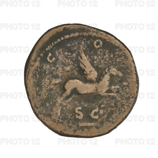 Dupondius, Hadrian (76–138; Roman emperor 117–138); obverse: head of Hadrian to the right in radiant crown; rim inscription HADRIANVS AVGVSTVS; reverse: Pegasus flying to the right, wings up; rim inscription CO; above the line of the segment: SC; dated 125–128; Rome, Roman Empire (27 BC–476); coin; weight 13.12 g.