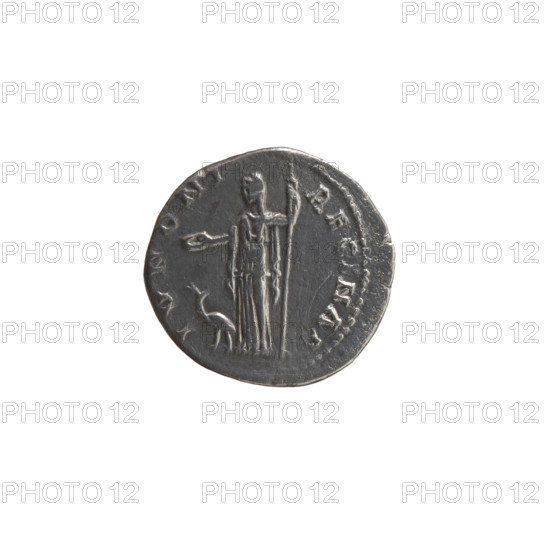 Denarius, Faustina the Elder (98–141; Roman empress 138–141), Antoninus Pius (86–161; Roman emperor 138–161), issuer. Obverse: Bust of Faustina I in drapery facing right, legend FAVSTI·A·AVGVS (all around). Reverse: Veiled Juno stands left, in her outstretched right hand a patera, in her left hand a long scepter; at her feet to left a peacock, legend IVNONI·REGINA (all around). Date: 139–141. Roman Empire, Rome. Coin: diameter 16.5–17.5 mm, weight 2.75 g, axis 180°.