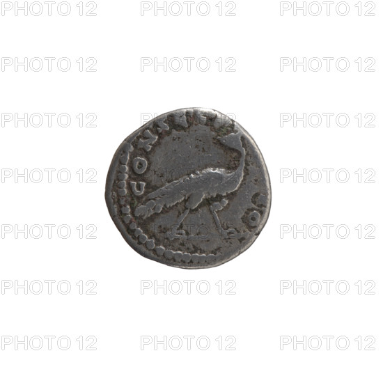 Denarius, Faustina the Elder (98–141; Roman empress 138–141) (posthumous issue of Antoninus Pius, 86–161; Roman emperor 138–161). Obverse: bust of Faustina I in drapery facing right, inscription DIVA FAV•STINA. Reverse: peacock walking right, head turned left, inscription CONSECR• IO. Roman Empire, after 141. Coin; diameter 16.0–16.5 mm, weight 3.00 g, axis 180°.