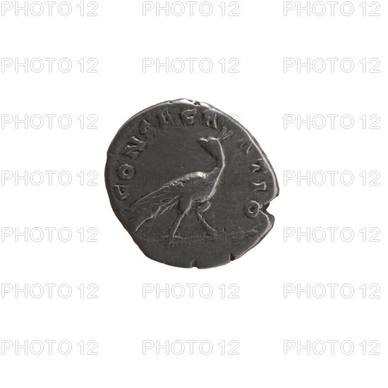 Denarius, posthumous issue for Faustina the Elder (98–141; Roman empress 138–141), struck under Antoninus Pius (86–161; Roman emperor 138–161), issuer Antoninus Pius. Obverse: Bust of Faustina I in drapery facing right, inscription DIVA AVSTINA all around. Reverse: Peacock walking to the right, head turned left, inscription CONSECRATIO all around. After 141 CE, Roman Empire (27 BC–476), Rome. Coin: diameter 17.5–18.0 mm, weight 3.55 g, axis 345°.