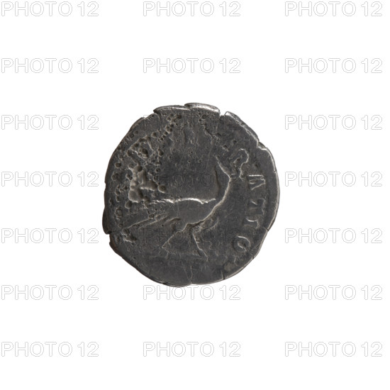 Denarius, posthumous issue for Faustina the Elder (98–141; Roman empress 138–141), issued under Antoninus Pius (86–161; Roman emperor 138–161). Obverse: Bust of Faustina I in drapery facing right, inscription DIVA • FAVSTINA around. Reverse: Peacock walking to the right, turning head to the left, inscriptions C • NS • RATIO around. Roman Empire, after 141. Coin (Rome). Diameter 16.5–18.0 mm, weight 2.75 g, axis 180°.