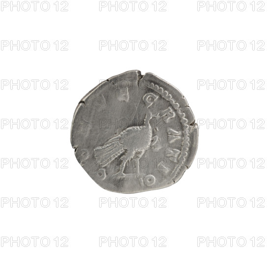 Denarius, Faustina the Younger (ca. 130–176; Roman empress 161–176) (posthumous), Marcus Aurelius (121–180; Roman emperor 161–180) (issuer). Obverse: Bust of Faustina II in drapery facing right, inscription DIVA FAVSTINA PIA. Reverse: Peacock standing right with folded tail, inscription CONSECRATIO. Iconography: animals, peacocks, plumes. Date: after 176 CE, Roman Empire (27 BC–476), Rome. Coin: diameter 17.5–18.5 mm, weight 3.14 g, axis 0°.