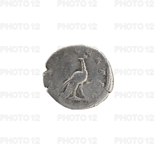 Denarius, Faustina the Younger (ca. 130–176; Roman empress 161–176) (posthumous), Marcus Aurelius (121–180; Roman emperor 161–180) (issuer). Obverse: Bust of Faustina II in drapery facing right, inscription DIVA FAV·STINA PIA. Reverse: Peacock standing right with folded tail, head turned left, inscription CO·SECRATIO. After 176, Roman Empire (27 BC–476), Rome. Coin; diameter 17.0–18.5 mm, weight 2.50 g, axis 0°.
