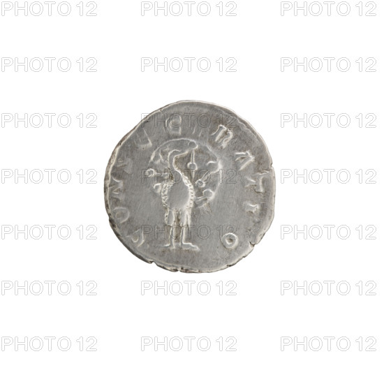 Denarius, Faustina the Younger (ca. 130–176; Roman empress 161–176) (posthumous), Marcus Aurelius (121–180; Roman emperor 161–180) (issuer). Bust of Faustina II in drapery facing right, inscription 'DIVA FAVSTINA PIA' around. Reverse: Peacock standing straight ahead, head facing right, tail spread in a plume, inscription 'CONSEC RATIO' around. After 176, Roman Empire (27 BC–476), Rome. Coin: silver denarius; diameter 18.0 mm; weight 3.35 g; axis 0°.