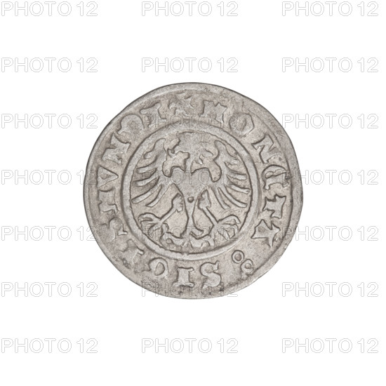 Crown half-grosz, Sigismund I the Old (King of Poland; 1506–1548). Obverse: Polish crowned eagle facing left, talons at the bottom; inscription in the rim. Reverse: crown in front; inscription in the rim. Dated 1509. Coin, Poland; weight 0.86 g.