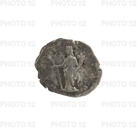 Denarius of Julia Domna (ca. 160–217), Roman empress (193–211). Obverse: IVLIA AVGVSTA — bust of Julia facing right, pearl border. Reverse: HILARITAS — Hilaritas standing left, right hand holding a palm leaf resting on the ground, left hand holding a cornucopia, pearl border. Rome, 198–209. Coin; diameter 19.0 mm (dia. 15.5 mm noted), weight 3.22 g.
