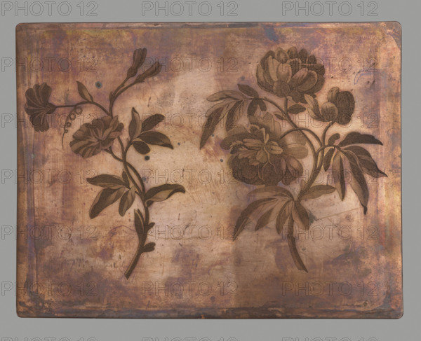 Peony and bindweed. On the left a sprig of peony, on the right a bindweed. Engraving made using the stipple etching technique with minor retouches with a stylus. Ca. 1800. Print from a graphic matrix/plate; height 20.4 cm, width 15.8 cm. Depicts two floral images; part of a series of graphic compositions depicting images of worship, portraits, views, plans, educational engravings and genre themes, often produced by anonymous engravers in Vilnius monastery engraving workshops., A rectangular metal plate with a weathered, mottled surface showing a range of coppery, brown, bronze, and purple tones, displaying two floral engravings. The left engraving shows a delicate stem with a few leaves and a blossoming flower with layered petals and a bud at the top, all rendered in a darker brown against the lighter background. The right engraving depicts a fuller cluster of flowers with large layered blooms, several elongated leaves, and curved stems, also in a darker brown. The plate surface has vi...