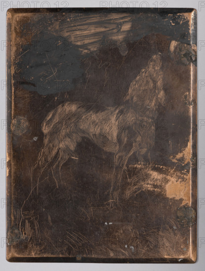 Barking dog; Lopienski, Ignacy (1865–1941), graphic artist; dogs; genre scenes; ca. 1930; graphic plate; height 16 cm, width 12 cm, A rectangular metal plate with a worn, dark brown surface showing lighter brown areas where the top layer is rubbed away, engraved with the outline of a dog in profile facing upward, the dog depicted with fine, linear fur marks and a long tail, standing on slender legs; the plate has several patches of darker discoloration and areas of abrasion along the edges and corners, and a few small spots where the metal shows brighter brown and coppery tones, with an overall aged, scratched appearance.