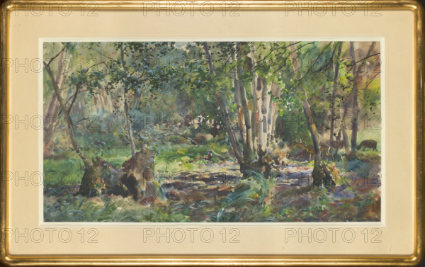 Forest interior with roe deer, Julian Falat (1853–1929), painter; roe deer; forest landscapes; 1893; drawing; watercolor; Polish.