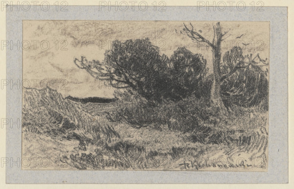 Landscape study; artist: Roman Kazimierz Kochanowski (1857–1945); subjects: trees, bushes, landscape; other associated names: Karolina Jerzmanowska (1879–1959), Kazimierz Jerzmanowski (ca. 1870–ca. 1939); Polish drawing, dated 1875–1935; drawing; dimensions: height 7.5 cm, width 12.5 cm.
