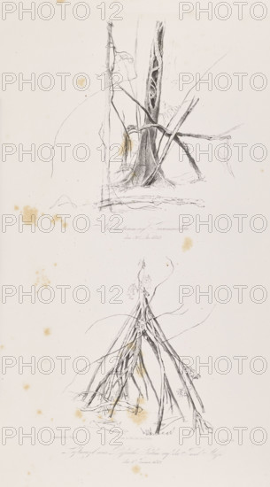 1) Tree trunk on the island of Tuaimaiduba, December 30, 1842; 2) Roots of the passuiba palm on the island of Moju, January 2, 1843. Adalbert (Prince of Prussia; 1811–1873), draughtsman; Loeillot, Wilhelm (1827–1876), draughtsman. Brazil, South America; travels; lithographs; German graphics. Subjects: trees, palm trees, jungle, equatorial forests, vegetation, plants, flora, nature, rivers, islands. Date: 1847. Medium/function: graphic print (lithograph), album page. Dimensions (irregular composition): height 50.9 cm, width 35.2 cm.