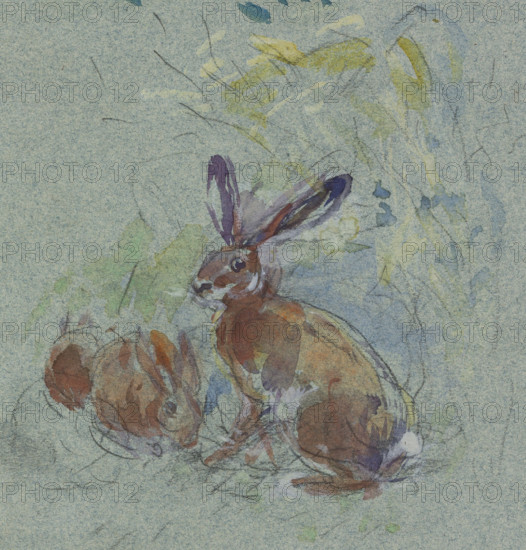 Studies of partridges, woodcocks, hares; verso: studies of roe deer, hares, and partridges in a landscape. Chelmonski, Józef (1849–1914), painter; Chelmonska, Jadwiga (1879–1928). Animals; studies for paintings; birds: partridges, roe deer, woodcocks; hares. 1875–1900. Sketchbook drawing. Height 22.5 cm, width 30.7 cm.