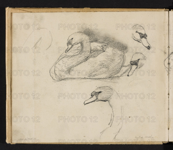 Sketches of swans for the painting 'Pond in Radziejowice' (1898); on both sides, Józef Chelmonski (1849–1914), swans, studies for paintings, Radziejowice (Masovian Voivodeship), 1898–1900; drawing; drawing in sketchbook; sketchbook; height 17.0 cm, width 20.3 cm