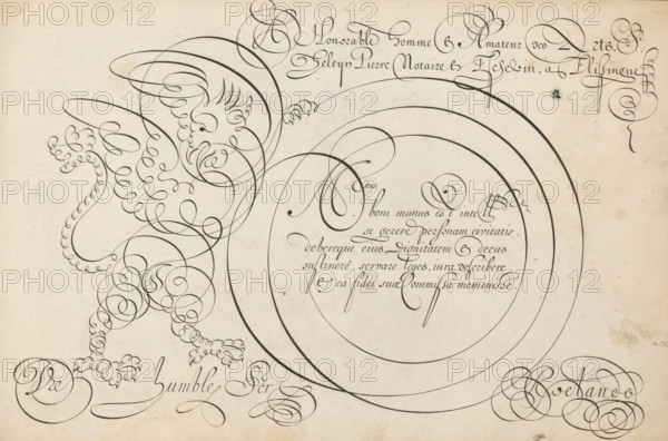 Writing sample with a griffin in scrollwork, 't Magazin oft pac-huys der loffelycker penn-const, print, album page, ornamental print, Writing sample with five lines of text in Latin: Mtus boni munus est ... Above it in French a dedication to Geleyn Pieters, alderman of Vlissingen. On the left a griffin in scrollwork., printmaker: Simon Frisius, after design by David Roelands, publisher: David Roelands, Flushing, dedicated to: Geleyn Pieters, 1616 - 1617, Simon Frisius, David Roelands, Geleyn Pieters, printmaker, after design by, publisher, paper, engraving, gravure, height 228 mm x width 345 mm, calligraphy, A large sheet with a pale, aged background shows an intricate flourish drawing formed by continuous dark ink lines that create looping spirals and rounded arcs; the left side features a decorative creature-like figure composed entirely of curled and coiled strokes with a beak-like shape, wing-like loops, and clawed feet made of small circular coils, while the right side is dominate...