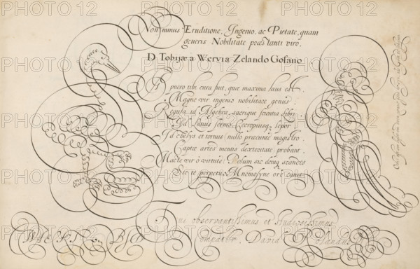 Writing example: Il puero tibi cura fuit, 't Magazin oft pac-huys der loffelycker penn-const, print, album page, ornamental print, Writing example with eight lines of text in Latin: Il puero tibi cura fuit ... Above that, three lines of text with a dedication to Tobias van de Werve from Goes. The text is flanked by a bird and a monk in scrollwork., printmaker: Simon Frisius, after design by David Roelands, publisher: David Roelands, Flushing, dedicated to: Tobias van de Werve, Goes, 1616 - 1617, Simon Frisius, David Roelands, Tobias van de Werve, printmaker, after design by, publisher, paper, engraving, gravure, height 228 mm x width 345 mm, calligraphy, A cream-colored page filled with ornate black ink calligraphic flourishes and looping pen strokes, forming decorative circular and spiral shapes across the surface. Two large decorative bird-like figures appear on opposite sides composed of continuous elegant loops and scalloped lines suggesting feathers and beaks. Dense clusters of in...