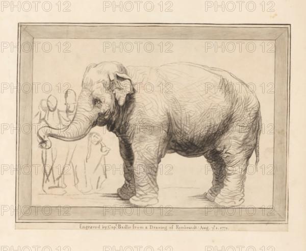 Elephant with bystanders, print, album page, printmaker: William Baillie, after drawing by Rembrandt van Rijn, 1778-08-01, paper, paste, crayon manner, etching in crayon manner, pasted on album page, height 221 mm x width 291 mm, trunked animals: elephant, A framed pencil drawing shows an elephant standing facing left with its head lowered and trunk curved downward, detailed wrinkled skin and textured shading on its body and legs. In the background inside the frame there are lightly sketched human figures standing near the elephant, rendered with minimal lines. The frame around the drawing has shaded edges and corner details, and the paper has a warm aged tone with some small spots and subtle discoloration.