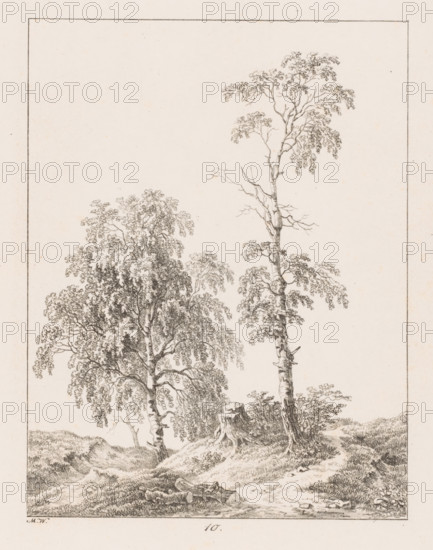 Tree stump between two trees, Templates for Landscape Drawers, Examples for the landscape artist, print, Series number, 10, 20, printmaker: Max Josef Wagenbauer, 1823, paper, lithography, height 375 mm x width 290 mm, Part of a two-part series of which the first part consists of a title print and twenty depictions of branches, leaves, trees and landscapes., trees, low hill country, A vertical pencil drawing shows a natural scene with two tall trees rising from a gently sloping, grassy ground. One tree is full with a dense canopy of leaves and many cascading branches, the other is straighter and more slender with a thinner crown and several bare branches. A tree stump with exposed roots sits between and slightly in front of the trunks. The foreground features a textured path or clearing with scattered small rocks and tufts of grass. Low distant hills and more vegetation appear along the horizon, and a narrow rectangular border frames the entire image.