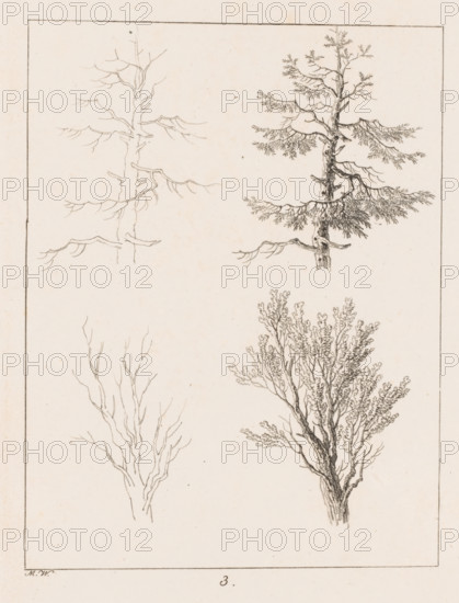 Silhouettes of treetops, Templates for Landscape Drawers, Examples for the Landscape Artist, print, Series number, 3, 20, printmaker: Max Josef Wagenbauer, 1823, paper, lithography, height 375 mm x width 290 mm, Part of a two-part series, the first part of which consists of a title print and twenty depictions of branches, leaves, trees, and landscapes., A vertical sheet showing four pencil tree sketches arranged in two columns with two sketches each, each tree rendered in thin, delicate lines; the top left tree is a sparse trunk with a few bare, angular branches, the top right tree has a more detailed trunk with textured bark and layered horizontal branches bearing clusters of fine, feathery foliage, the bottom left tree is a simple outline of a slender trunk with many upward-reaching bare twigs, and the bottom right tree shows a thicker trunk with dense, intricate branching and abundant small leaves forming a rounded canopy, all drawings set within a thin rectangular border on a light...