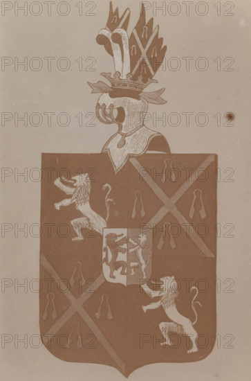 Photographic reproduction of a drawn coat of arms of a member of the Bronckhorst-Batenburg family, possibly Johan van Bronckhorst-Batenburg, photograph, reproduction, page, photographer: Benjamin Charlé (possibly), after drawing by anonymous, c. 1903 - in or before 1908, paper, pasteboard, baryta paper, daylight collodion silver print, height 150 mm x width 195 mm, armorial bearing, heraldry, A stylized heraldic shield with a helmeted crest above it; the helmet has decorative plumes and a crown with leaf-like mantling, and the crest rising from the crown features tall feathered shapes. The shield surface is divided by diagonal bands forming an X pattern and contains repeated small droplet-shaped motifs within the triangular sections. Two lion figures appear on the shield in a rampant pose, one on each side, and a smaller quartered escutcheon at the shield center shows two mirrored lion figures. The image has a sepia tone and a plain background with a small darker spot near the upper ri...