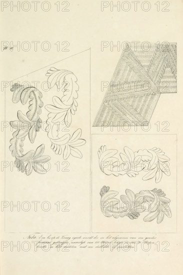 Balloon of the uniform of the HH Generals, and embroidered loops of the uniform of the Officers of the General Staff, print, The braid applied to the collar of the uniform of the Dutch generals and the embroidered loops applied to the uniforms of the officers of the General Staff. Plate 10. Uniform representation in 'Description of the Royal Netherlands troops' by JF Teupken, 1823., printmaker, publisher, printer (person), Netherlands, The Hague, paper, etching, engraving, etching and engraving, height 300 mm x width 205 mm, (military) uniforms, uniform, General Staff, Period, 1820 - 1823, A pale sheet with multiple outlined designs arranged on it, including a large angular outlined area on the left containing two curved leafy motifs composed of smooth rounded petal shapes and some with inner textured hatching, a rectangular framed panel on the right lower quarter containing two separate leafy wreath-like designs with one pair of smooth rounded leaves above and a more densely hatched c...