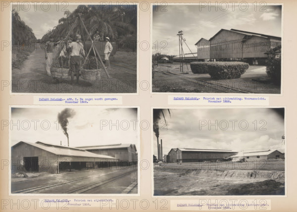 Oil factory in Padang Halaban, 1938, album page, photograph, Sheet with four photos of the palm oil factory in Padang Halaban, 1938. With labels with captions under the photos. Part of the photo album about the Pernantian and Brussels plantations of the Sumatra Caoutchouc Company on the East Coast of Sumatra in the years 1935-1939., inscription, Sumatra, 1938-11, photographer, paper, pasteboard, gelatin silver print, developing gelatin silver prints, height 140 mm x width 205 mm, height 335 mm x width 475 mm, Person, Sumatra Caoutchouc Maatschappij NV, factory-building, plantation, (non-fruit) products of plants or trees: palm oil, economic history, overseas history, palm oil culture, Period, 1935 - 1939, A grid of four black-and-white photographic prints mounted on a page is visible, each print showing industrial and plantation scenes; the top left print shows several people standing on a dirt path lined with tall palm trees, a makeshift wooden tripod supporting two woven baskets fill...