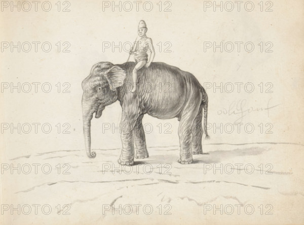 An elephant and a mahout, sketchbook page. In the center of the page, a tusksless elephant (aliya) is drawn, viewed from the side. On the left is the head with a hanging trunk and ears held flat back. It is a Sri Lankan elephant (Elephas maximus maximus). Sitting on top of the shoulders—without a saddle—with legs wide apart is an elephant leader (mahout or nayaka) holding a henduwa in his right hand, a stick with a metal hook not visible here. The man is dressed only in a loincloth and has a cap on his head. To the right of the drawing, a text was added in pencil (later, after 1671): oolifant. Sheet 43 from a sketchbook with 117 sheets., draftsman (artist): Esaias Boursse, Sri Lanka, 1662, draftsman (artist), South Asia, materials by function, paper, ink, brush, brush in gray, height 148 mm x width 196 mm, Asiatic races and peoples (SRILANKANS), 41D232, skirt (LUNGI), trunked animals: elephant (man and animal), overseas history, mahout, Colombo, Period, 1662 - 1670, A pencil drawing of...
