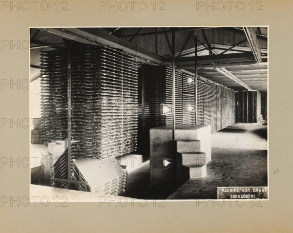 Factory hall with racks, album page, photograph, Album page with a photo in a factory hall with metal racks (possibly of a tea company). Part of a photo album with photos of machines and constructions of the NV Machinefabriek Braat in Surabaya, Sukabumi and Tegal from the period 1931-1937., Sukabumi, 1931 - 1937, photographer, Java, West-Java, paper, pasteboard, gelatin silver print, developing gelatin silver print, height 168 mm x width 230 mm, height 250 mm x width 320 mm, Person, NV Machinefabriek Braat, factory-interior, machine shop, parts of machines, economic history, overseas history, company history, Period, A black and white photograph of an industrial interior showing long rows of stacked horizontal trays or racks filling the space, supported by vertical metal posts and overhead beams with visible roof trusses and corrugated ceiling panels, a concrete stepped platform in the foreground with small cage-like light fixtures attached to poles, wooden floorboards, and baskets or ...