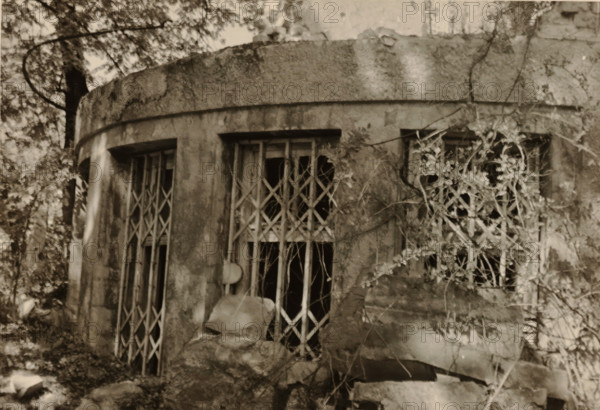 Circular part of a ruin, with bars in front of the windows, stones in the foreground and vegetation on the right, photograph, stones in the foreground and vegetation on the right., 1945 - 1970, photographer, paper, gelatin silver print, developed gelatin silver print, height 75 mm x width 105 mm, Period, A weathered concrete facade with a rounded top edge shows three vertical window openings fitted with metal lattice grilles, the central grille being more open and damaged; vines and climbing plants grow across the rightmost opening and along the wall, with bare branches and leaves intermingled with the metalwork; the surface of the structure is stained and textured, with cracks and patches of erosion; rocks and rubble sit at the base of the wall, and tree trunks and foliage frame the scene at the left and upper portions of the image.