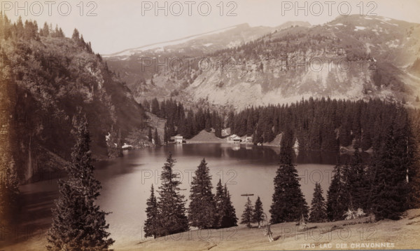 Lac des Chavonnes, View of Lac des Chavonnes near Villars-sur-Ollon in Vaud, Switzerland, photograph, number: '1790', collector's mark: 'VOSMAER', Villars-sur-Ollon, 1900, photographer, paper, albumen print, height 133 mm x width 222 mm, lake, trees, mountains, A wide mountain lake is bordered by steep forested slopes and rocky cliffs, with tall evergreen trees in the foreground and around the shoreline; a small wooden boathouse and a few small buildings sit near the water’s edge opposite the viewpoint, and a narrow rowboat with a person in it floats on the calm surface; the distant hillside shows exposed rock faces and patches of lighter ground, and the sky above is pale and cloudless.