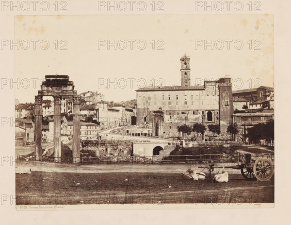 Roman Forum in Rome, Roman Forum (Roma), photograph, number: 'No. 1019.', c. 1875 - c. 1900, photographer, Rome, paper, pasteboard, albumen print, height 178 mm x width 238 mm, ruin of a building, architecture, temple, shrine, Roman religion, four-wheeled vehicle drawn by two animals, Forum Romanum, A sepia-toned photograph showing ancient stone columns with ornate capitals in the left foreground, a low wooden fence running across the middle ground, and a grassy open area in the front where two light-colored animals lie near a simple wooden cart with large spoked wheels; behind the columns there are multi-story buildings with rectangular windows and a tall bell tower rising above them, a curved elevated walkway and arched openings in a stone structure are visible, a row of trees stands along a terrace, and scattered ruins and masonry occupy the middle distance under a pale sky.