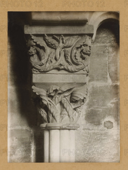 Capital in Bamberg Cathedral, East Church, Arkadencapitell, album page, photograph, This photo is part of an album., number: '18.', Bamberg, 1900 - c. 1920, photographer, Bavaria, paper, baryta paper, gelatin silver print, developed gelatin silver print, height 228 mm x width 169 mm, interior of church, Bamberg Cathedral, A carved stone column capital with ornate leaf and vine motifs sits against a textured stone wall, the capital featuring stylized animal heads partially entwined with scrolling foliage, above a fluted column shaft and a rounded abacus, all shown in a monochrome photograph with a narrow darker border and a plain paper mount around the image.