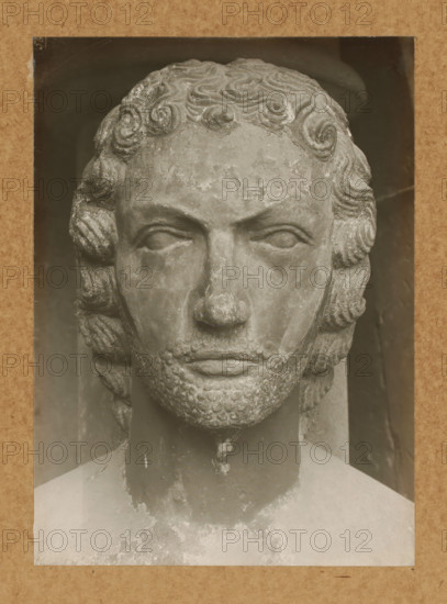 Adamspforte, Adam, Head from front, Detail of the Adamspforte in Bamberg Cathedral, album page, photograph, This photo is part of an album., number: '56', Bamberg, 1900 - c. 1920, photographer, Bavaria, paper, baryta paper, gelatin silver print, developed gelatin silver print, height 224 mm x width 161 mm, church (exterior), Bamberg Cathedral, A close-up photograph of a weathered stone bust showing a frontal view of a male face with carved curly hair, stylized eyebrows, closed or blank eyes, a prominent nose with surface wear, and a textured beard and mustache. The sculpture's surface shows areas of flaking and discoloration, and the bust is set against a darker background with a lighter rectangular border surrounding the image. The image has a sepia tone and visible grain and small scratches.