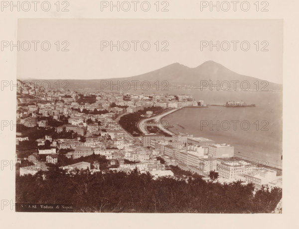 Veduta dit Napoli, View of the Bay of Naples and Mount Vesuvius, Italy, photograph, number: 'No. A.82.', Naples, 1851 - 1900, photographer, pasteboard, paper, albumen print, height 317 mm x width 445 mm, city-view in general, 'veduta', gulf, bay, volcano, A wide aerial view of a coastal city with a curved waterfront road and multiple densely packed buildings of varying sizes and styles stretching inland up a hillside, dark tree foliage in the foreground, a calm bay with a small fortress-like structure on a pier extending into the water, a long shoreline with promenades and docks, scattered small boats on the water, and a large volcanic mountain rising in the background under a pale sky.
