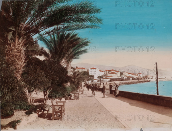 San Remo, Promenade te San Remo, Italy, La Promenade, photograph, number: '2184', 1880 - 1910, photographer, paper, pasteboard, daylight gelatin silver print, hand coloring, height 209 mm x width 274 mm, trees: palm tree, quay, A wide promenade runs along a curved shoreline with a low stone wall separating the walkway from calm water, and a line of palm trees and other dense foliage borders the opposite side of the path; several wooden benches sit along the promenade and a number of people in period clothing stand and walk, some leaning on canes and one woman wearing a long dress stands near the wall; in the background a coastal town with buildings featuring light walls and tiled roofs is set against low hills, and a tall wooden utility pole with wires stands near the water under a clear sky.