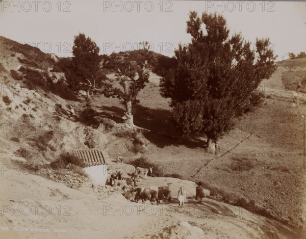 Landscape with Berbers ?, Kabylie, Morocco, photograph, Note: ? Afensou is a city in Morocco, Kabylie is a cultural landscape in northern Algeria and covers 7 provinces., inscription: 'Fontaine d'Afensou Kabylie', c. 1880 - c. 1900, photographer, paper, daylight gelatin silver print, height 197 mm x width 252 mm, North Africa, A sepia-toned landscape showing a sloping hillside with patches of bare earth and grassy areas, several tall trees with dense foliage near the center and right, and a small whitewashed structure with a tiled roof near the lower left. In front of the structure there are people sitting or standing beside a low stone wall, and animals including a group of cattle or oxen and a donkey positioned along a dirt track that winds through the scene. The terrain includes rocky outcrops and erosion channels, and shadows from the trees fall across the ground.