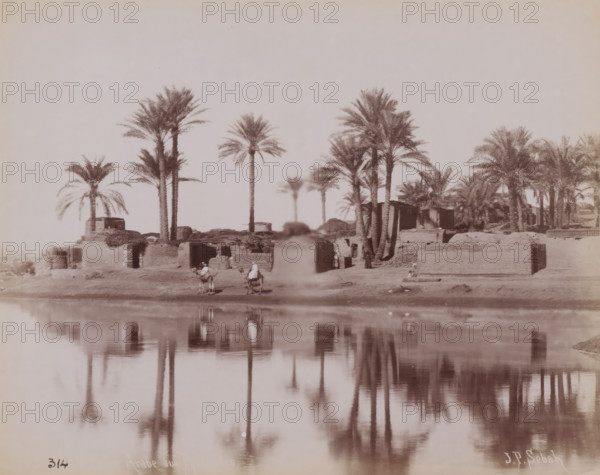Landscape with water, palm trees and buildings, Middle East, photograph, Middle East., inscription: 'Village arabe aux Piramides ?', signature: 'JP Sebah', number: '314', photographer: Pascal Sébah, c. 1880 - c. 1900, paper, albumen print, height 212 mm x width 272 mm, A riverside scene showing a row of tall palm trees of varying heights standing behind low, mud-brick structures with simple openings, their trunks and fronds reflected in the calm water in the foreground; a few figures in traditional robes are near the water, some on camels and others standing or sitting, and scattered palm clusters and smaller vegetation occupy the area among the buildings, creating a horizontal composition with the sky occupying the upper portion.
