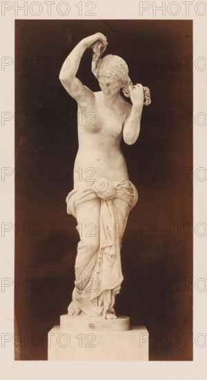 Sculpture of Venus or Aphrodite, Museo Vaticano, photograph, photographer: Libreria Spithöver, c. 1850 - c. 1870, pasteboard, paper, albumen print, height 375 mm x width 196 mm, piece of sculpture, reproduction of a piece of sculpture, Vatican City, Vatican Museums, A pale stone statue of a standing female figure is shown against a dark backdrop, depicted from head to pedestal; the figure is partially draped with textured fabric wrapped around the lower torso and legs, knotted at the front and cascading in folds, while the upper body is bare; the figure's head is tilted slightly downward with detailed curly hair, one arm raised holding a section of hair above the head and the other hand positioned near the ear grasping another lock; the carved feet rest on a round base set atop a rectangular plinth, and the surface of the statue shows subtle weathering and tonal variations.
